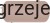 POZIOMY WYMIENNIK Z PODWÓJNĄ WĘŻOWNICĄ.jpg